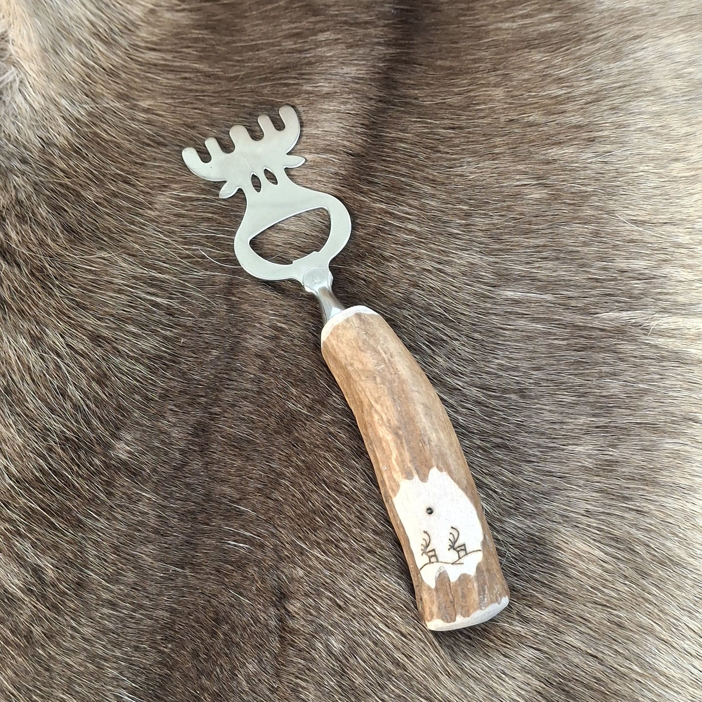 Bottle Opener Reindeer (reindeer antler)