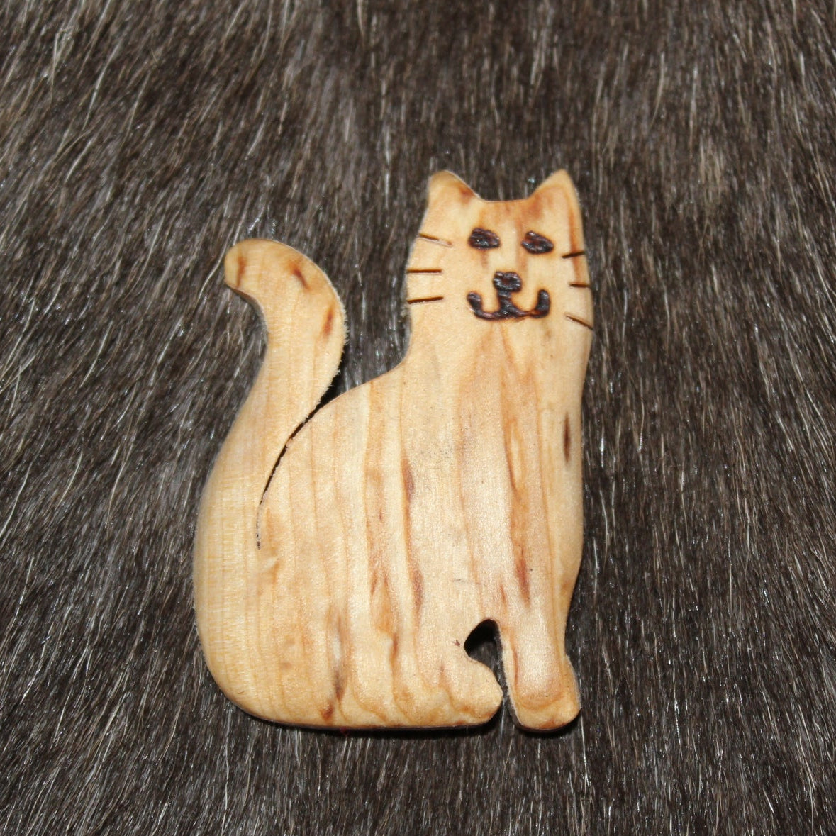 2103 Magneetti, kissa istuva