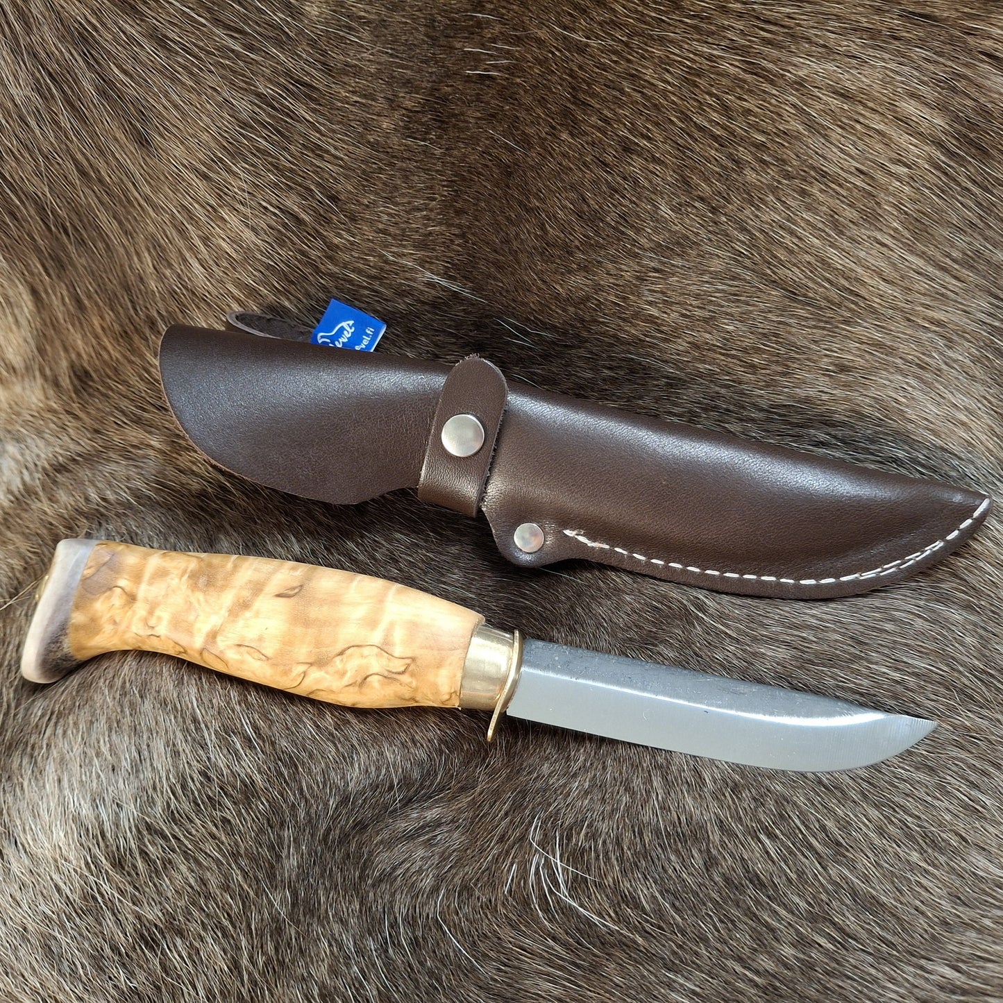 Partiopuukko sarvihattu