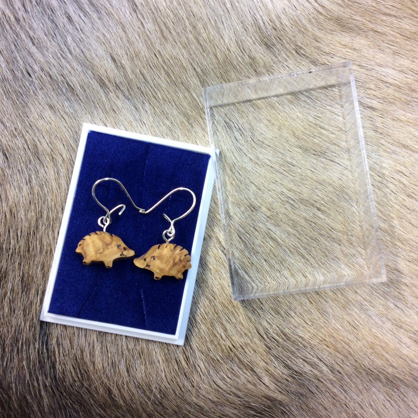 241K Korvakorut, siili