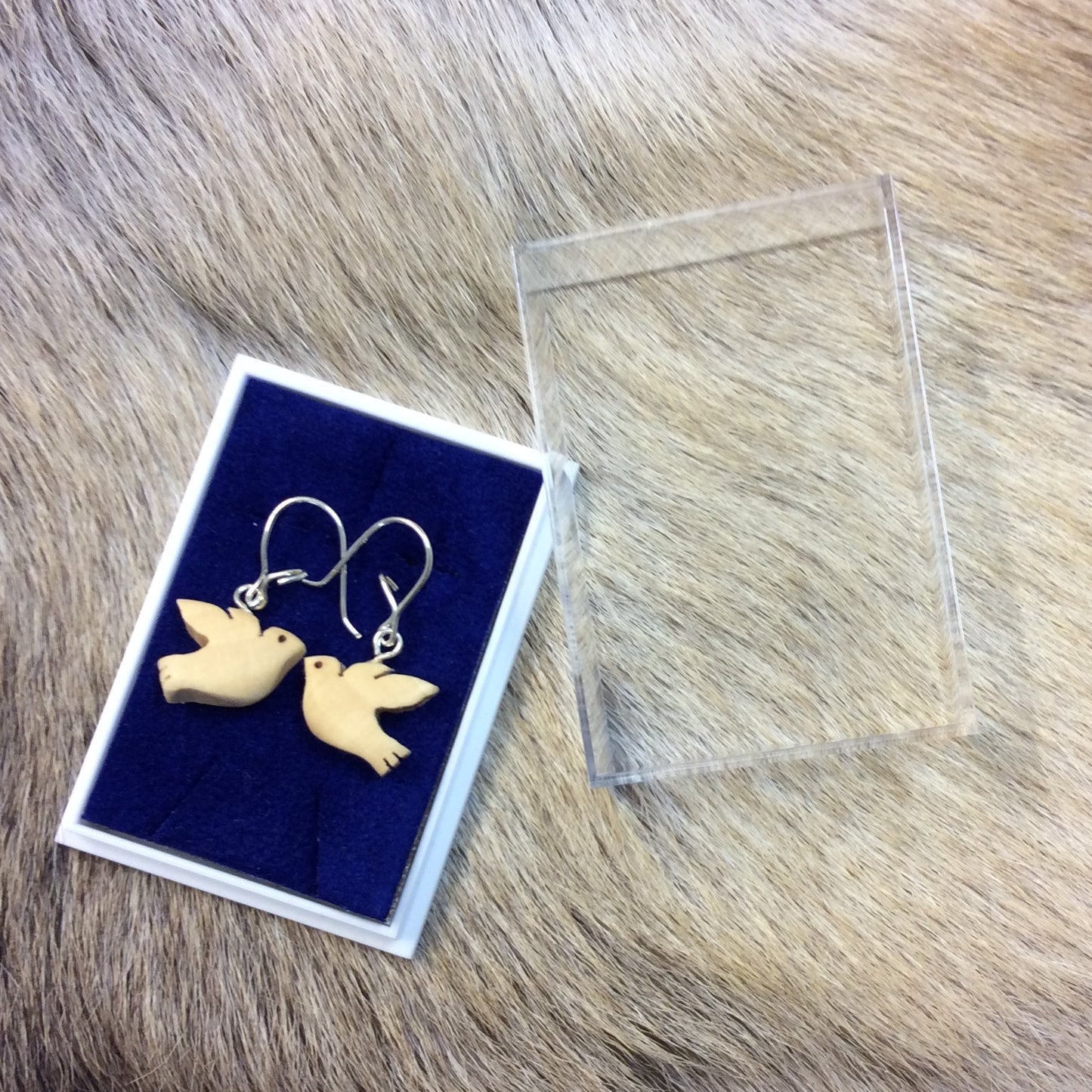 253K Korvakorut, kyyhky