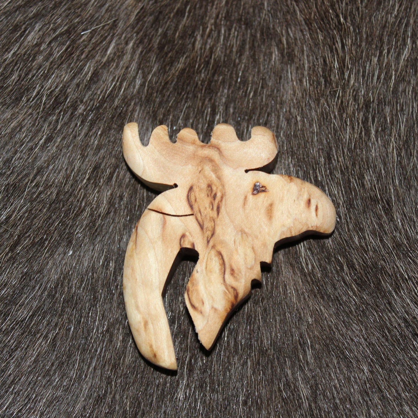 Pot Watcher, Moose's Head