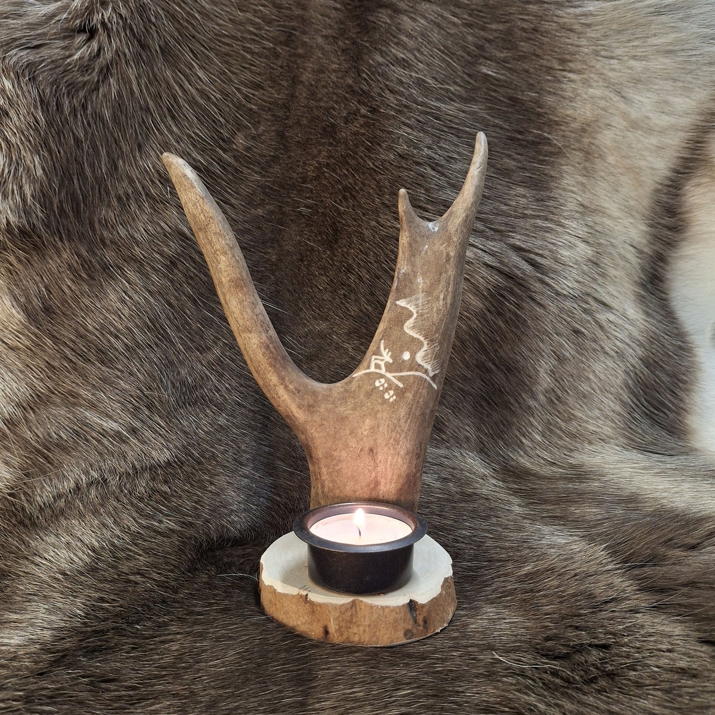 800ST Sarvipatsas tuikulla