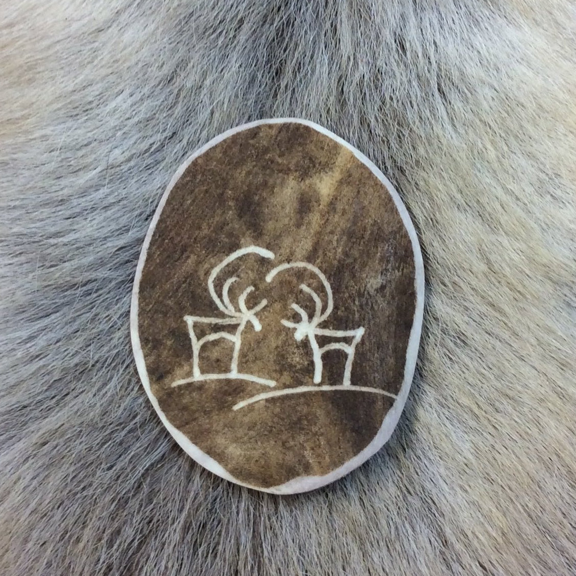 86R Magneetti ruskea (poronsarvesta)