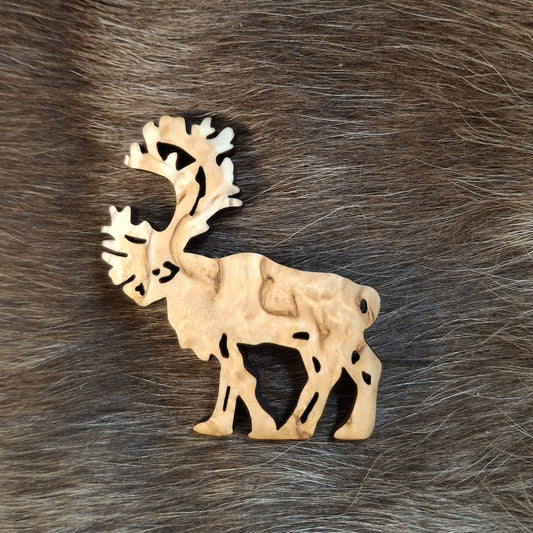 2101 Magneetti, poro