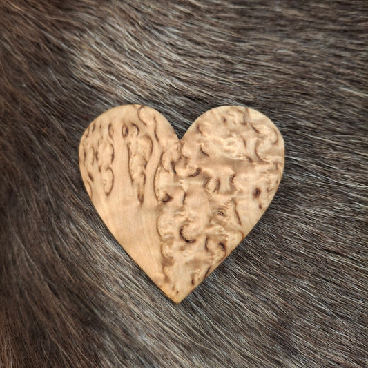 2137 Magneetti, sydän visa